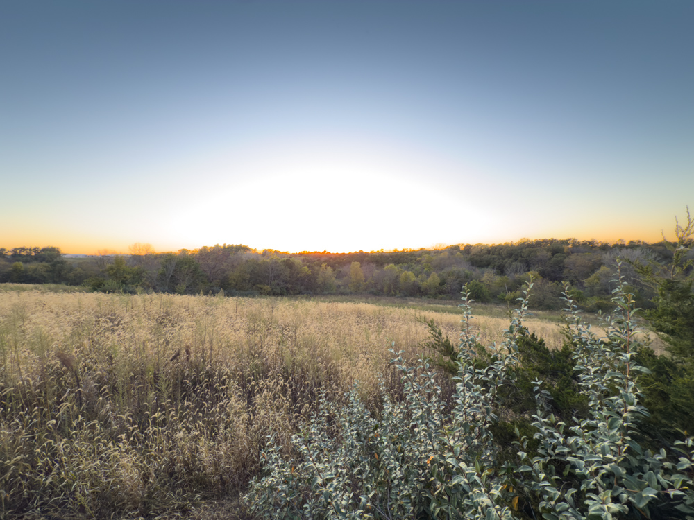 Hunting Paradise with Income