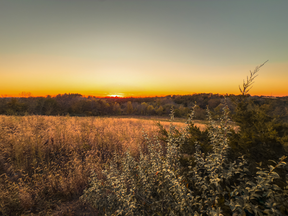 Hunting Paradise with Income