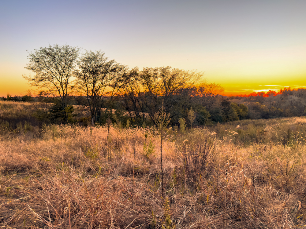 Hunting Paradise with Income