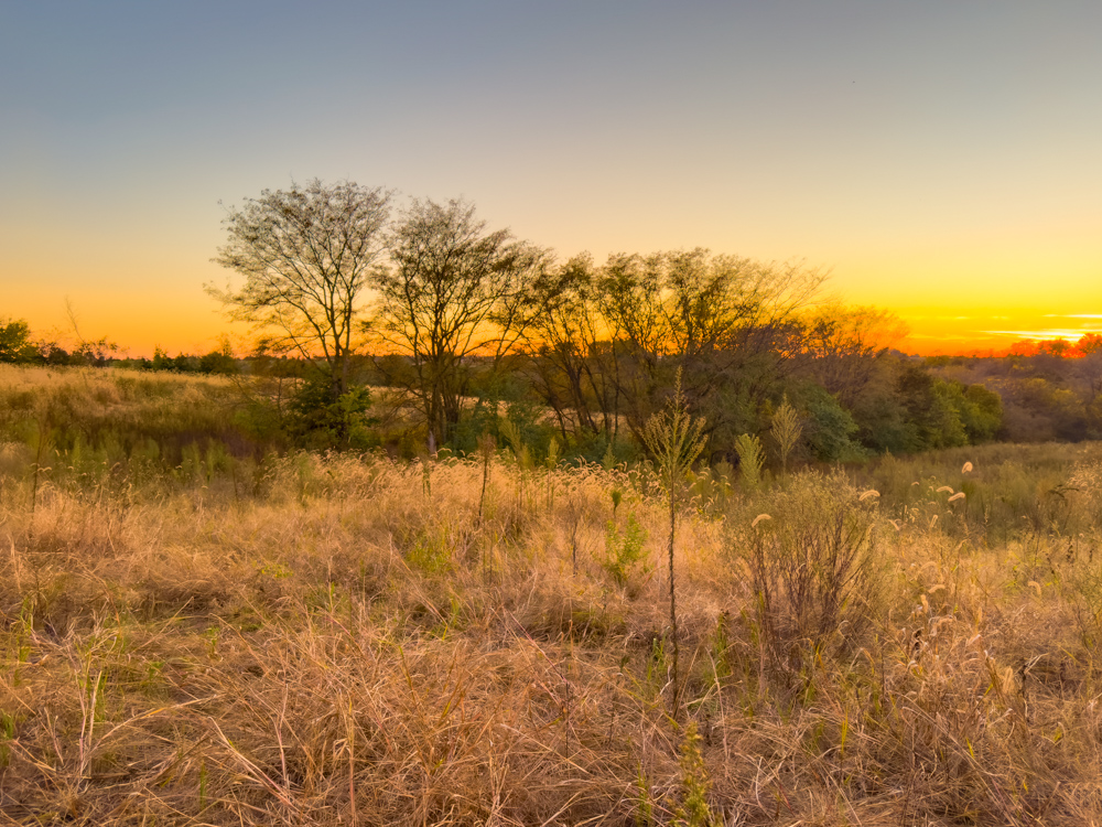 Hunting Paradise with Income