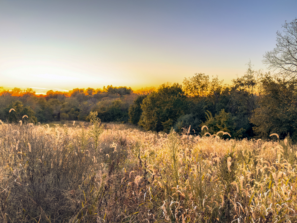 Hunting Paradise with Income