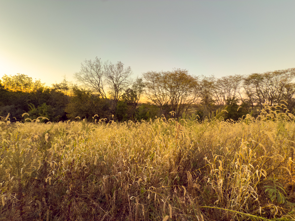 Hunting Paradise with Income