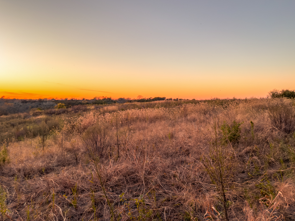 Hunting Paradise with Income