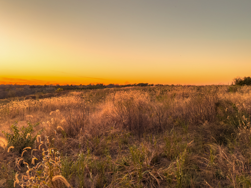Hunting Paradise with Income