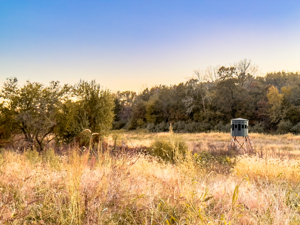 Hunting Paradise with Income
