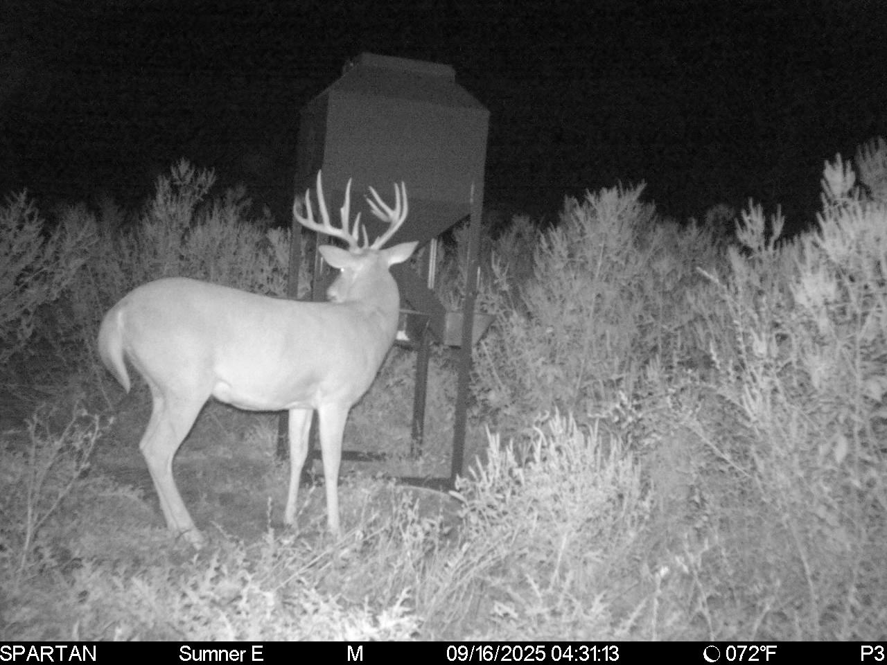South Central Kansas Combo Farm