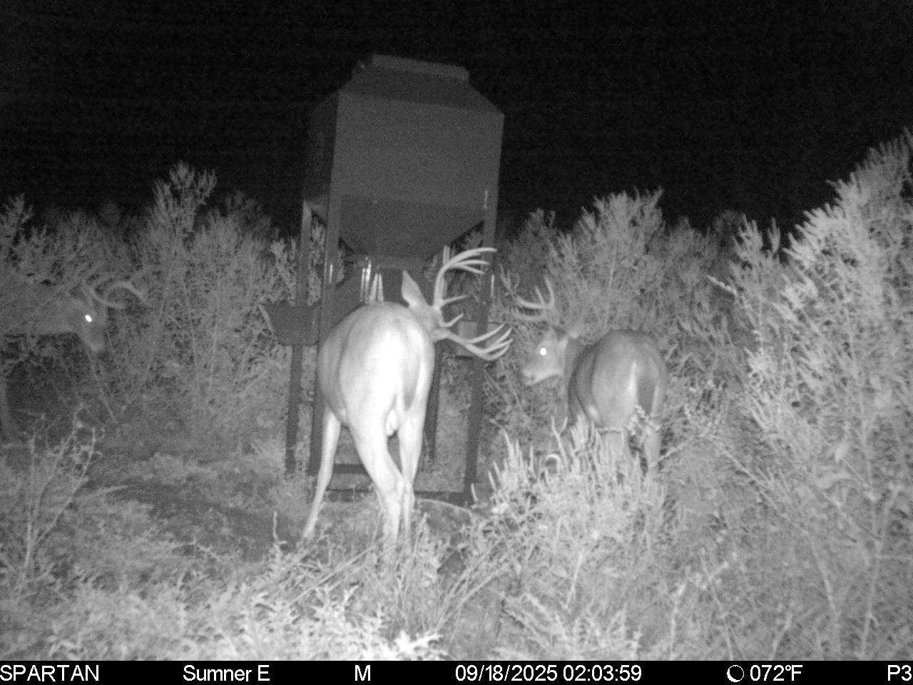 South Central Kansas Combo Farm