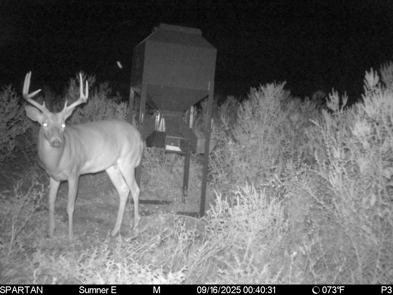 South Central Kansas Combo Farm