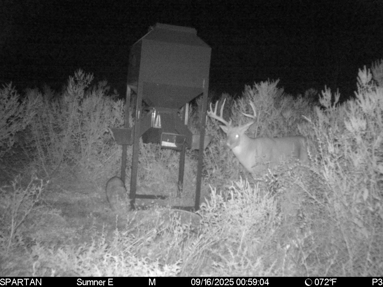 South Central Kansas Combo Farm