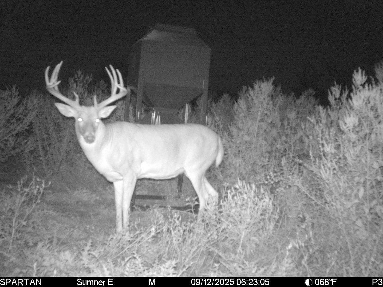 South Central Kansas Combo Farm