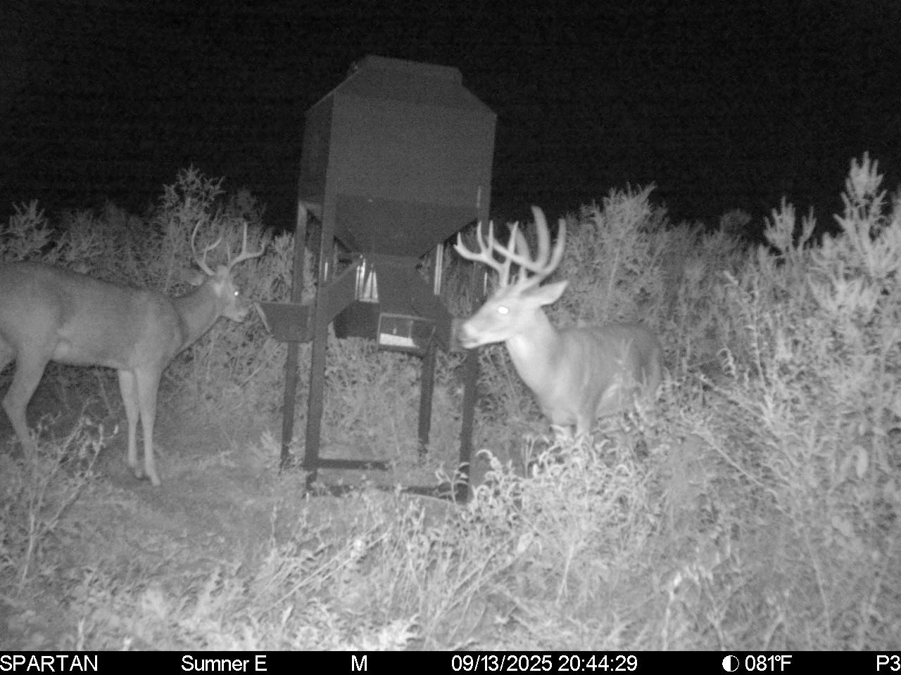 South Central Kansas Combo Farm
