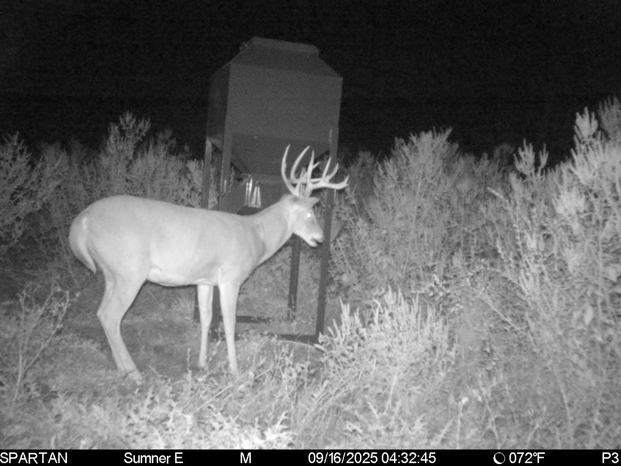 South Central Kansas Combo Farm