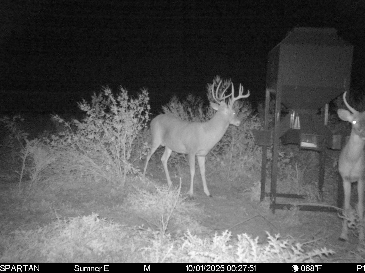 South Central Kansas Combo Farm