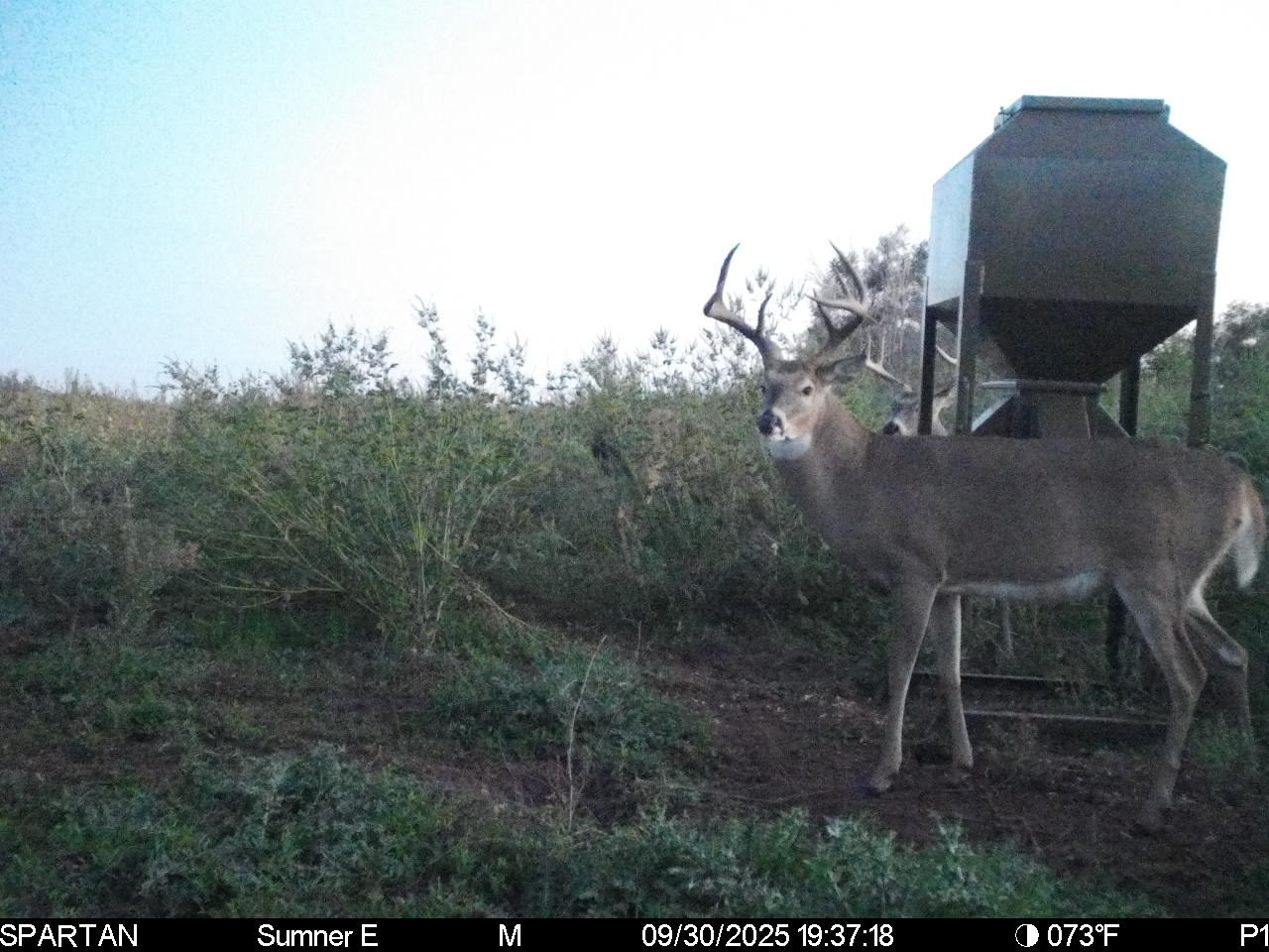 South Central Kansas Combo Farm