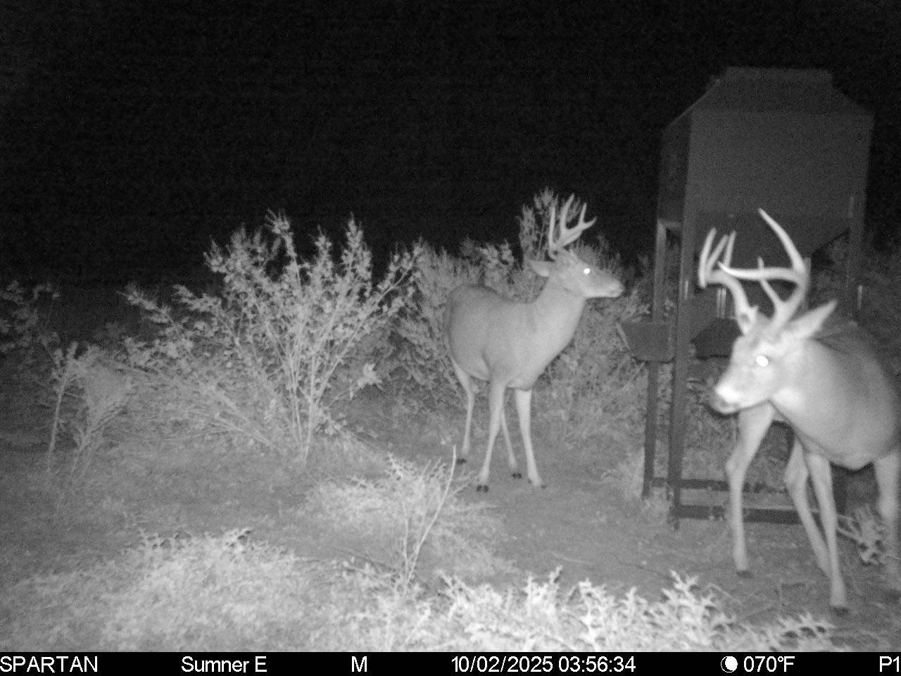 South Central Kansas Combo Farm