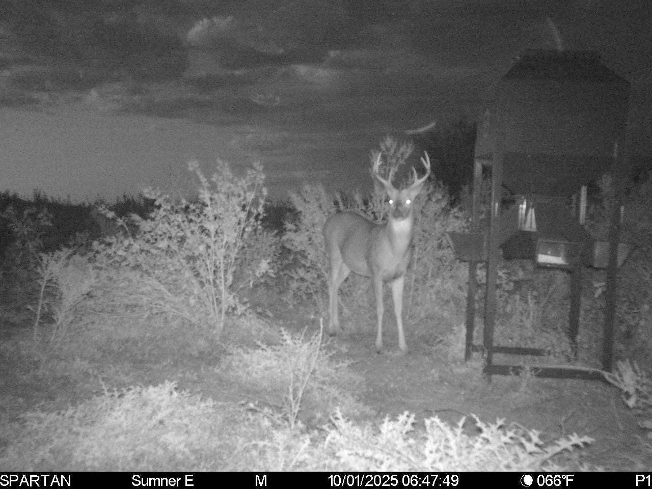 South Central Kansas Combo Farm