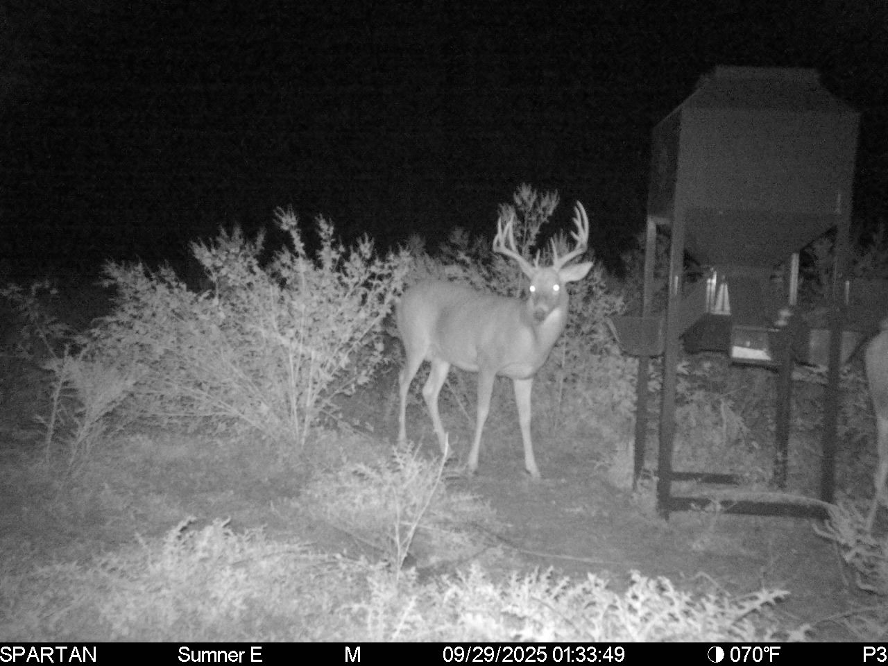 South Central Kansas Combo Farm