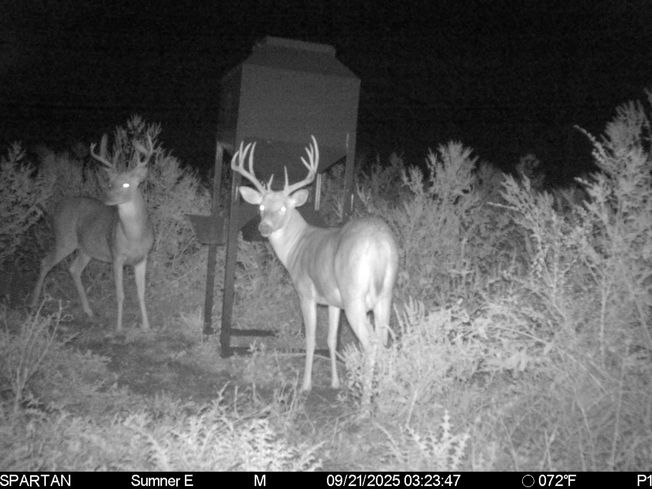 South Central Kansas Combo Farm
