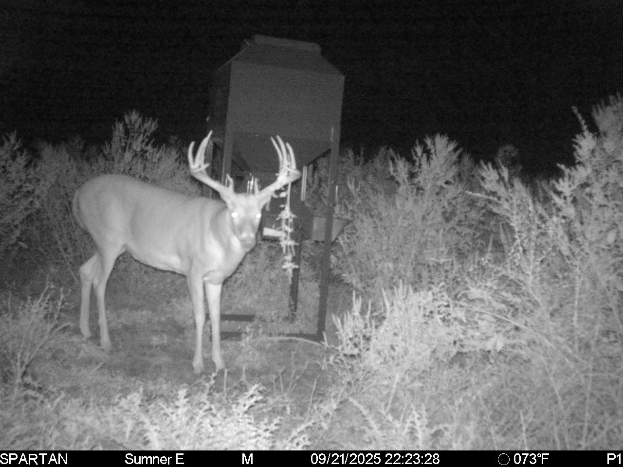South Central Kansas Combo Farm