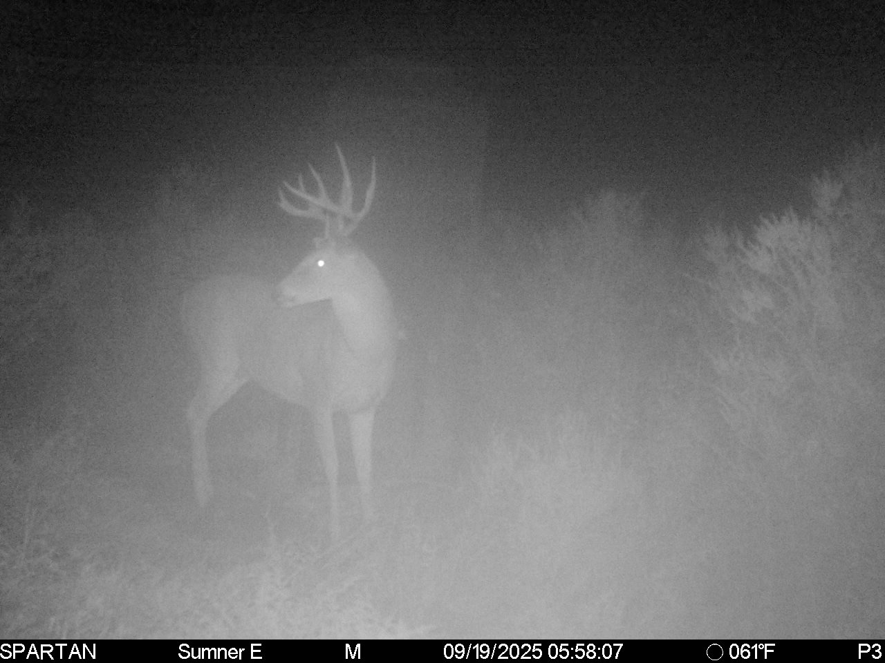 South Central Kansas Combo Farm
