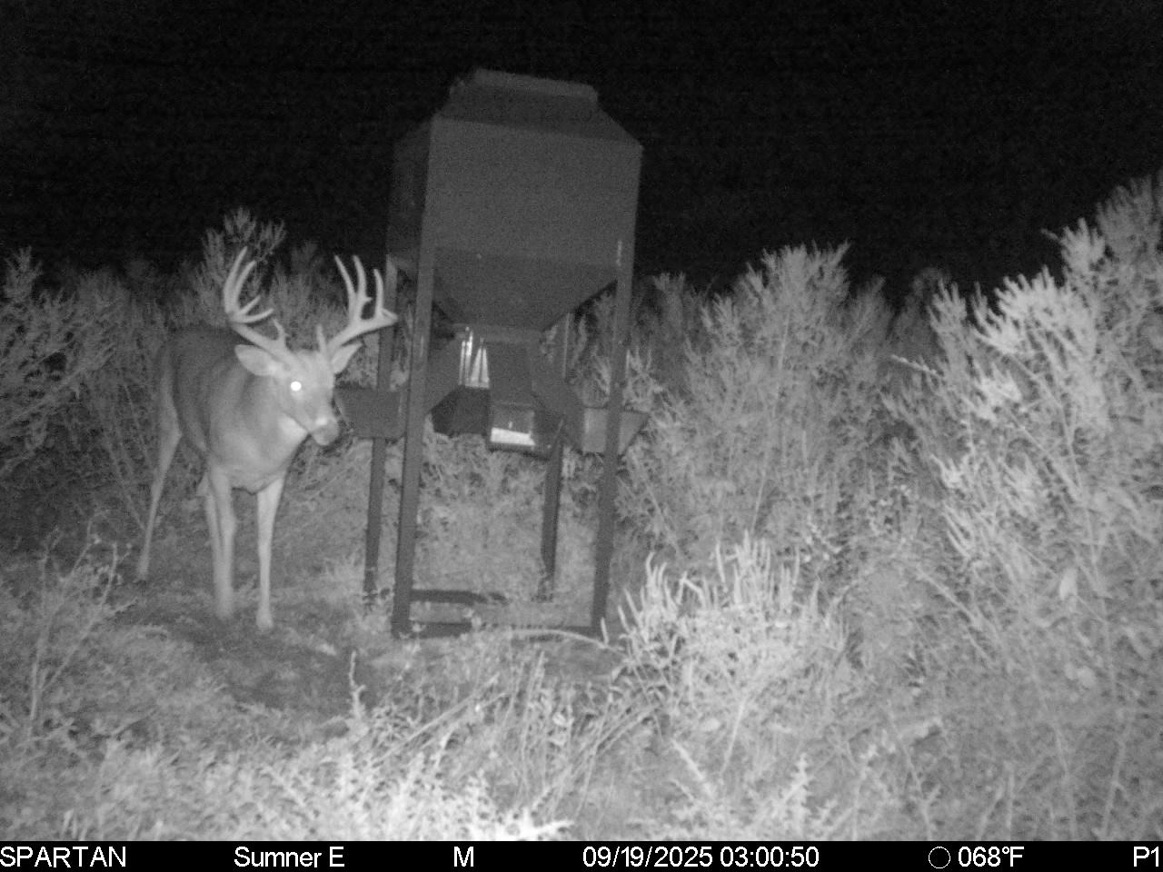 South Central Kansas Combo Farm