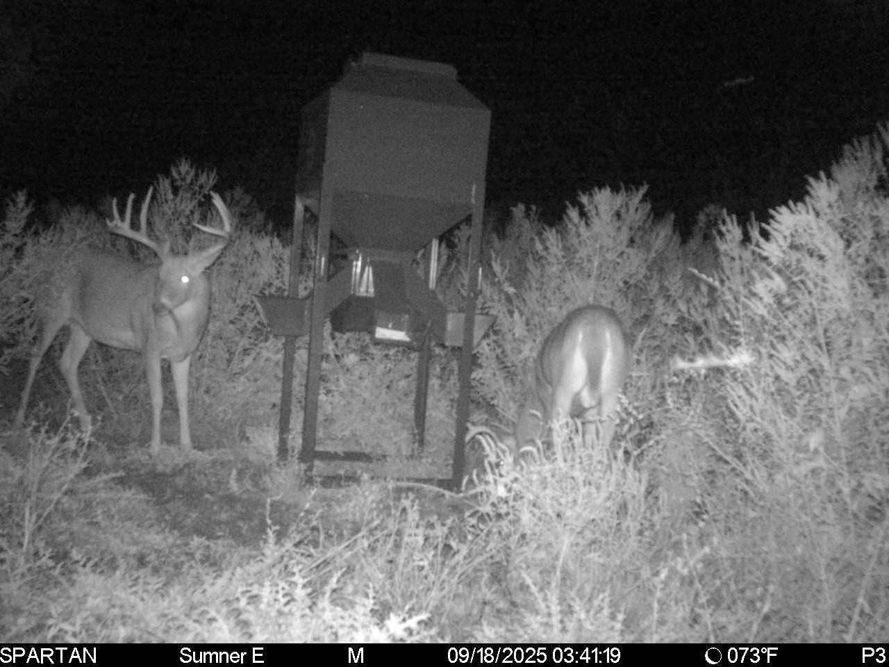 South Central Kansas Combo Farm