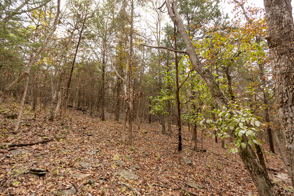 A Hunters Paradise in Saint Clair County