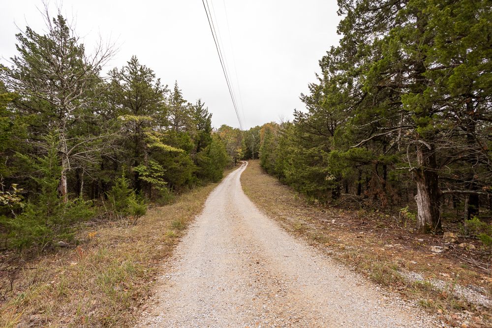 A Hunters Paradise in Saint Clair County