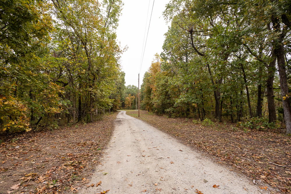 A Hunters Paradise in Saint Clair County