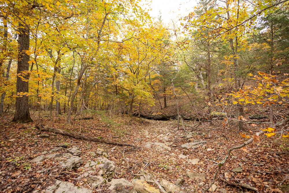 A Hunters Paradise in Saint Clair County