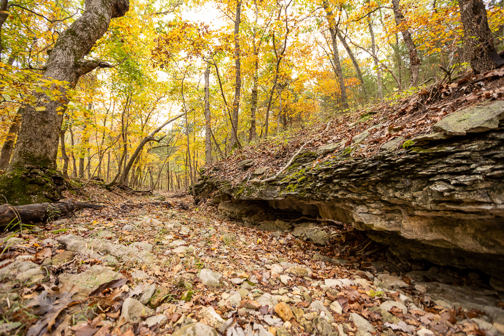 A Hunters Paradise in Saint Clair County