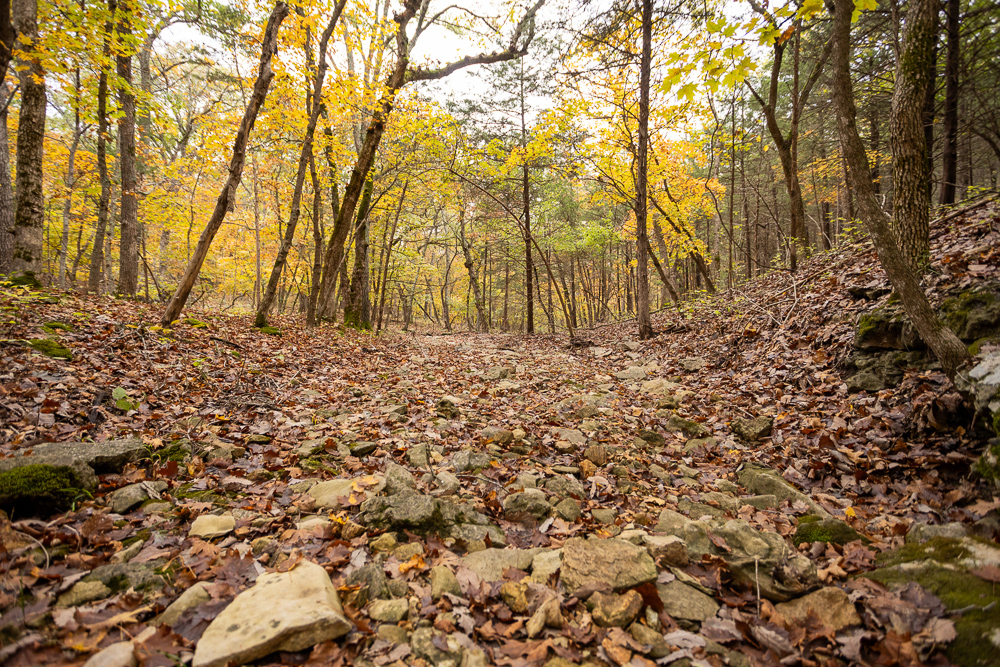 A Hunters Paradise in Saint Clair County