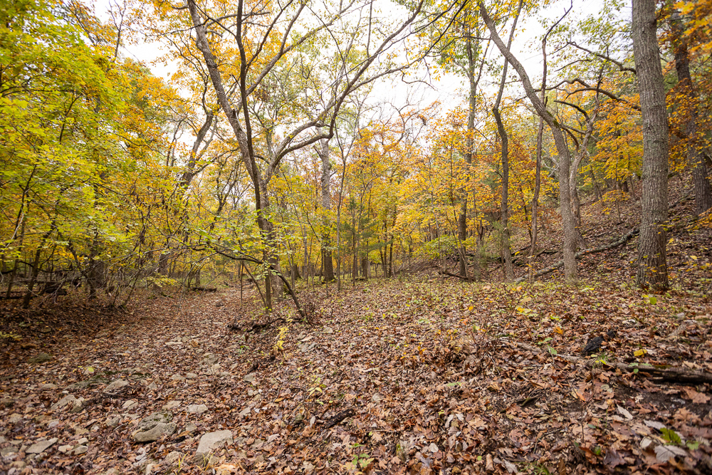 A Hunters Paradise in Saint Clair County
