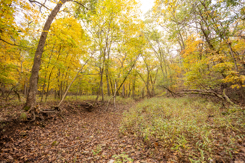 A Hunters Paradise in Saint Clair County