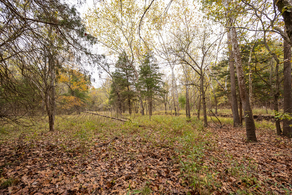 A Hunters Paradise in Saint Clair County