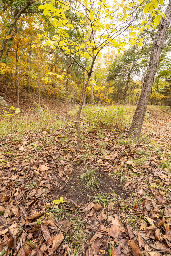 A Hunters Paradise in Saint Clair County