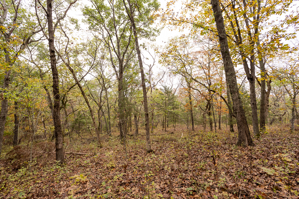 A Hunters Paradise in Saint Clair County