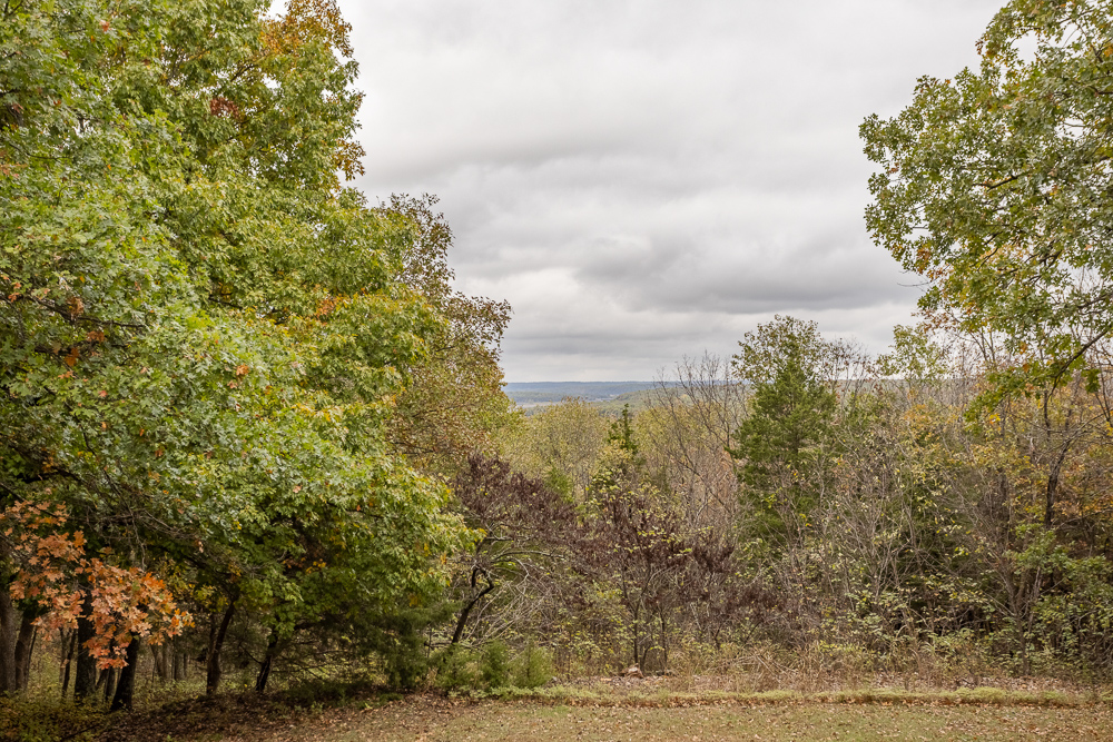A Hunters Paradise in Saint Clair County