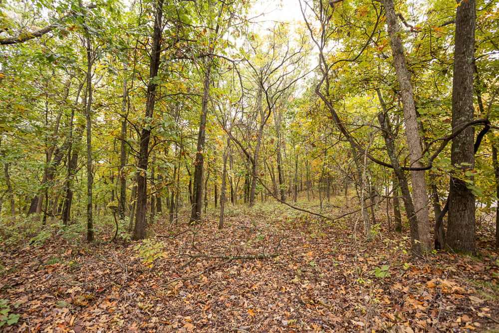 A Hunters Paradise in Saint Clair County
