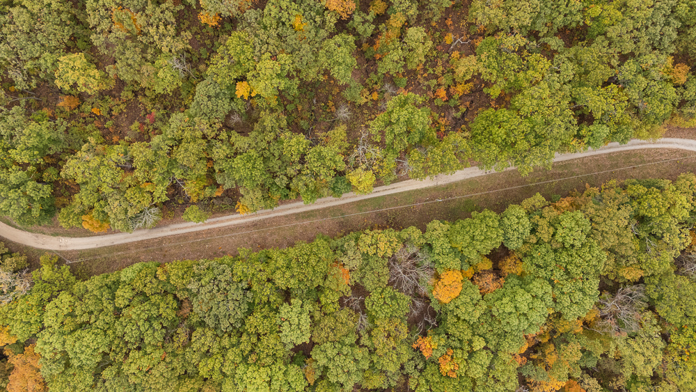 A Hunters Paradise in Saint Clair County