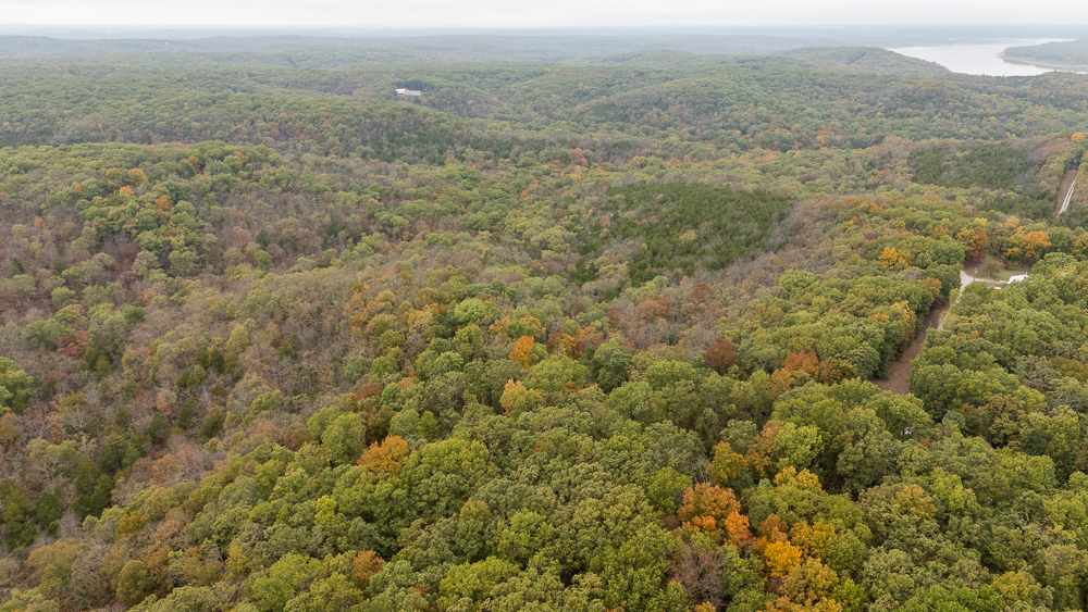 A Hunters Paradise in Saint Clair County