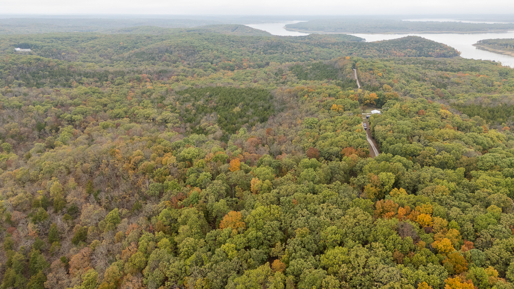 A Hunters Paradise in Saint Clair County