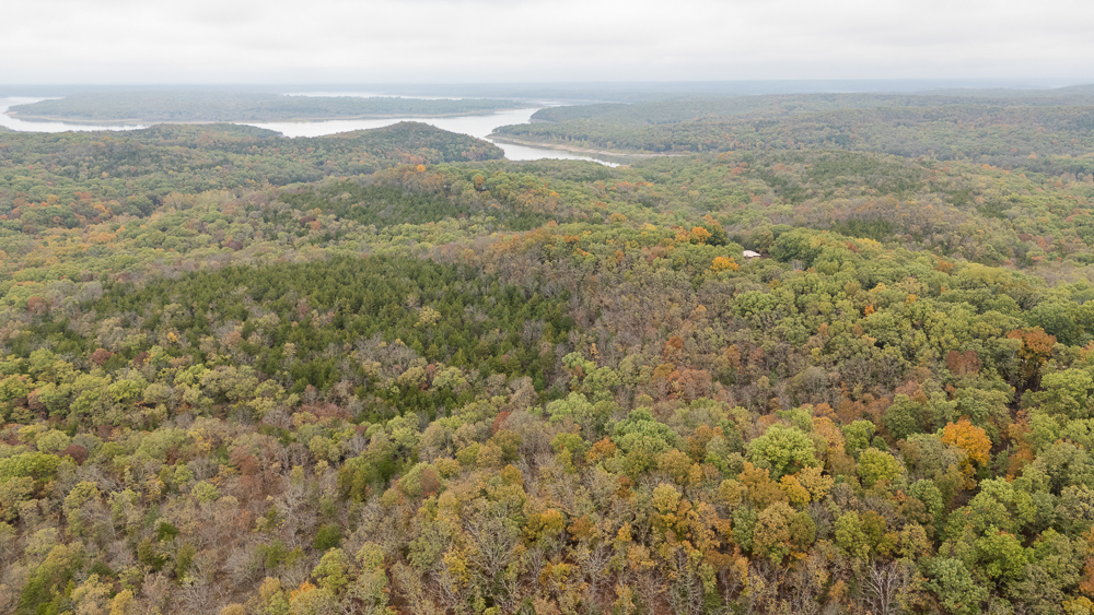 A Hunters Paradise in Saint Clair County