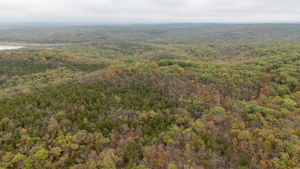 A Hunters Paradise in Saint Clair County