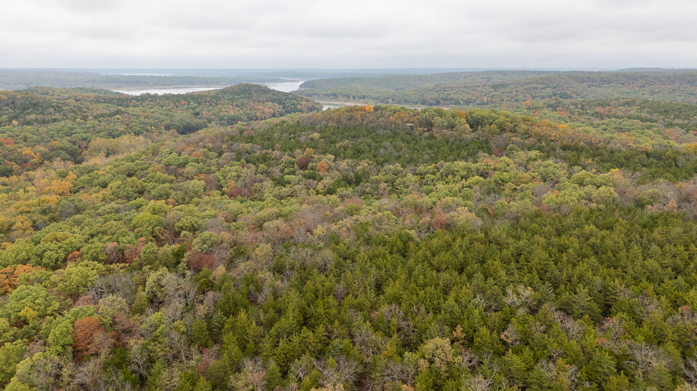 A Hunters Paradise in Saint Clair County