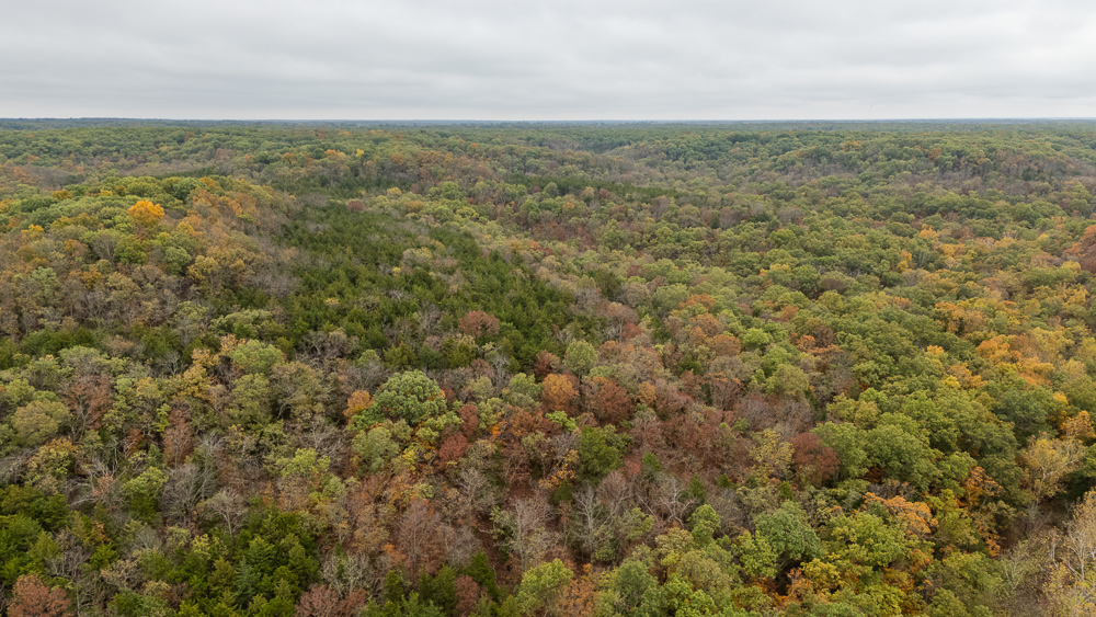 A Hunters Paradise in Saint Clair County