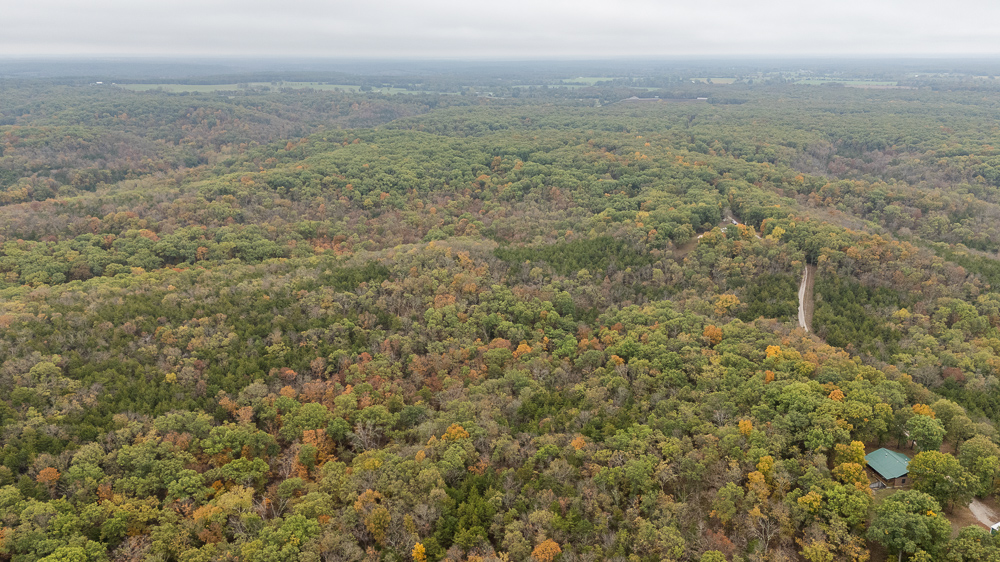 A Hunters Paradise in Saint Clair County