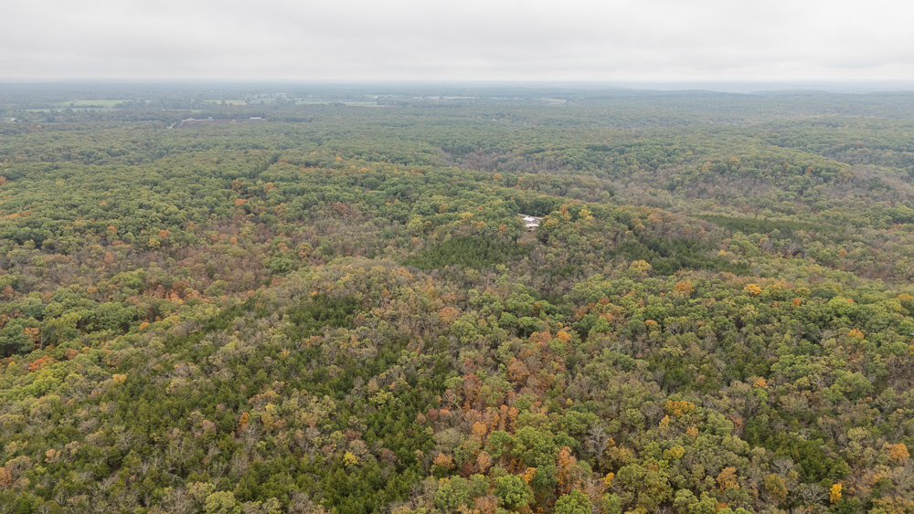 A Hunters Paradise in Saint Clair County