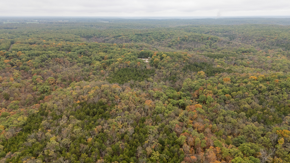 A Hunters Paradise in Saint Clair County
