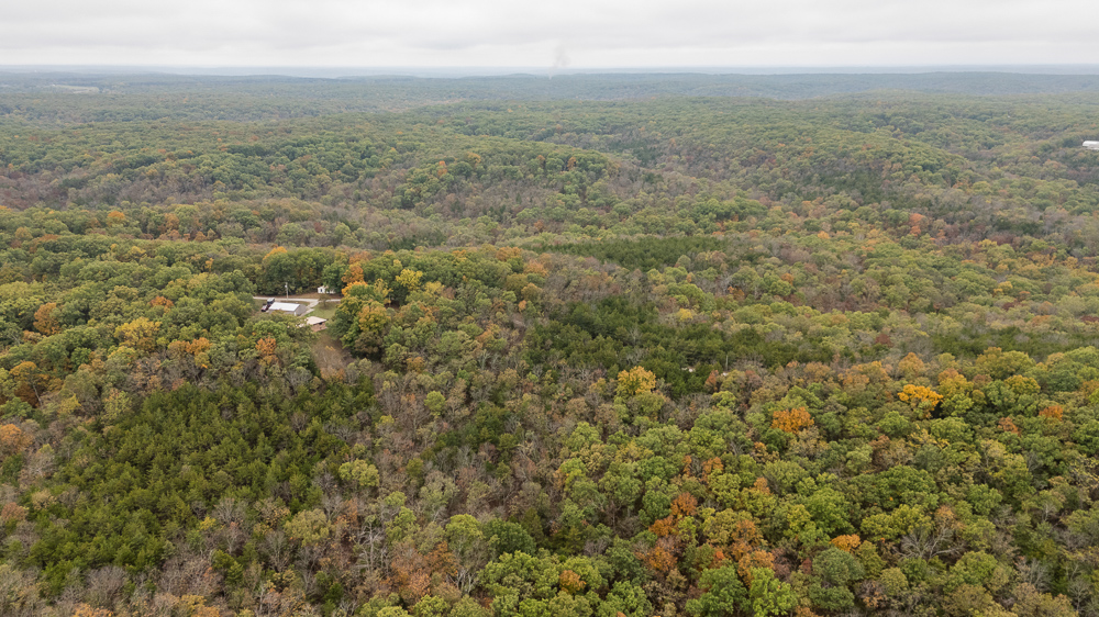 A Hunters Paradise in Saint Clair County